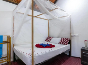 Comfort Beach Hotel