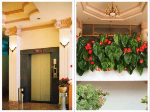 Dragon King 1 Hotel Da Lat