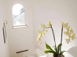 B&B Il Sogno