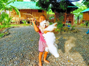 Moalboal Bamboo House / Rooms