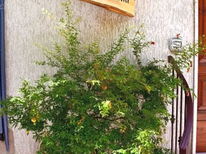 Dai Nonni B&B