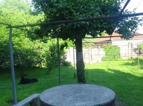 Guest house Ebralidze