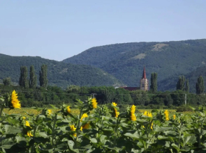 Dósa tanya, Vendégház