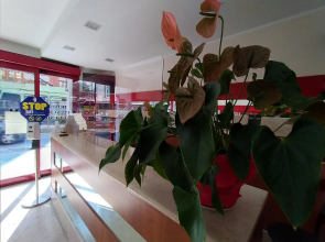 Hotel Principe Eugenio