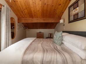 Mount Robson Mountain River Lodge