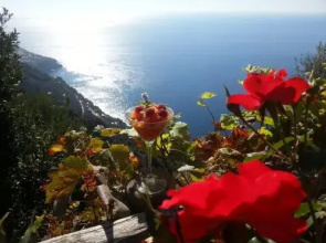 Villa Antica Macina B  B