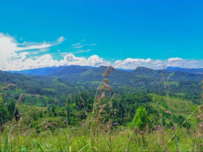 Lak Sewana Home Stay
