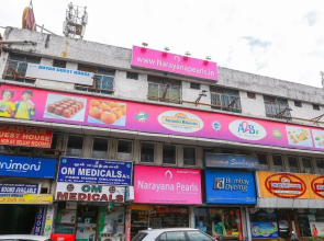 Spot ON 49012 New Adyar Guest House
