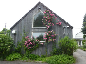 Garden Shed