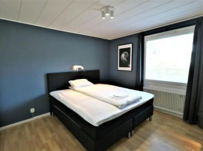RIBO Apartment Arctic - Hostel