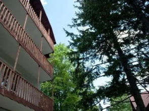 Sinaia Alex Apartments