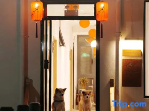 Wenli·Tingyuan Homestay