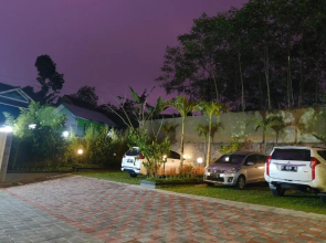 Wisma Lovebird