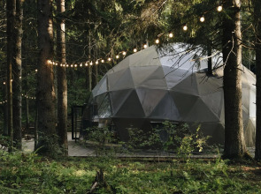 Вили Улей Карелия