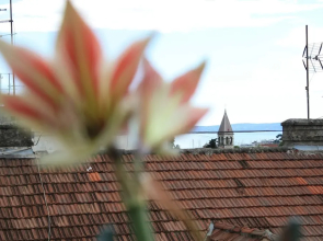 Big 80 m2 apt With Balcony in the Heart of Split