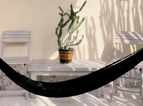 Casa Gonza By Holbox Rents.
