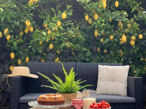 "Sunset Garden" apartment