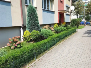 Apartments 4 You Niepodległości