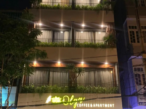 Olga Apartment Danang Vietnam