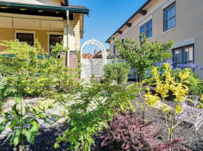 Luxe Bay View Home Near SF, Berkley & Napa Valley