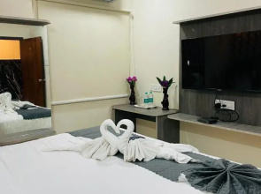 Swan Premium