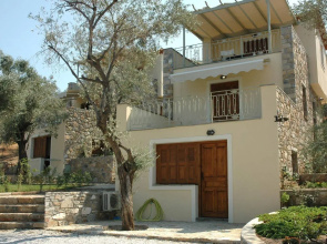 Gera's Olive Grove