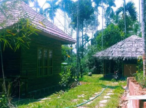 Misty Mornings Resort