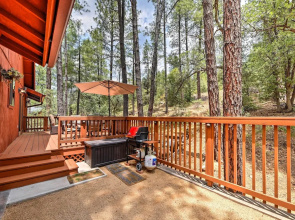 Relax Fireside! Peaceful Forest Haven in Prescott