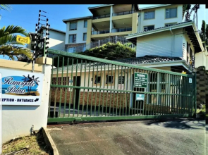 42 Ramsgate palms