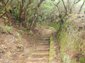 Casa del Cu bano B- Biosphere Reserve
