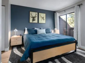 Winterpoint 41