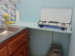 Logerthine Jan Suriname