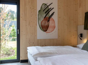 Modern Holiday Home With Skislope at 100 m