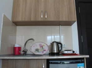 Hotel Mgzvarebi Flat -204