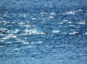 Misty Waves Boutique Hotel