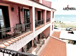 Amphora cm