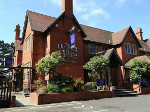 The Hopping Hare