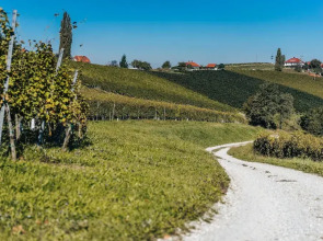 Podhamer Wellness Vineyard Cottages
