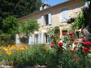 Les Vignes de Terrisse