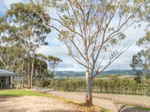 McLaren Vale Getaways