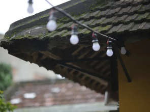 Lotus House Homestay