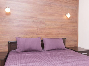 Apartamenty <<Ieropolis-4>> na Popova