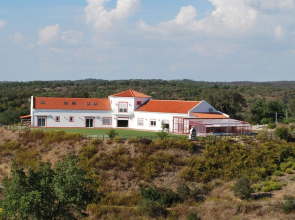 Buddha Peaceful Oasis