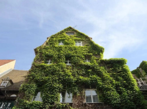 Hotel-Pension Am Ratshof
