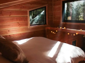 Cabañas Bosque Milenario