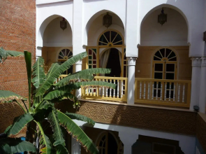 Riad Habib