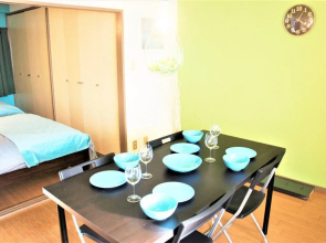 Spacious Apartment Ikebukuro&Sunshine City