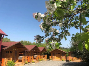 Guest House Lev