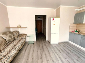 Апартаменты на улице Немировича-Данченко 156