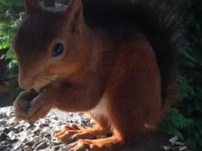 Bio-Ferienhaus-Eifel